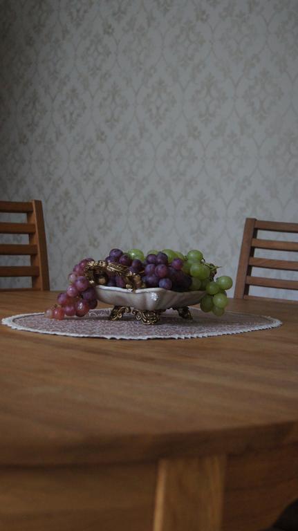 Appartamento Vienaragio apartamentai Palanga Esterno foto